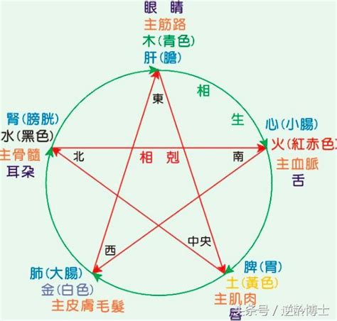 自己的屬性|如何知道一個人的五行屬什么